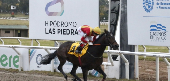 GRAN PREMIO BATALLA DE LAS PIEDRAS - COPA LABORATORIOS MICROSULES