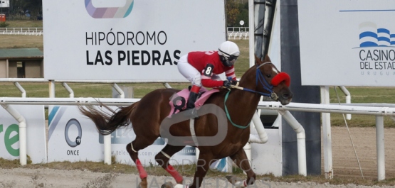 Sábado 4 de junio de 2022 - HLP