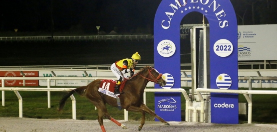 CLÁSICO CAMPEONES JUVENILE FILLIES