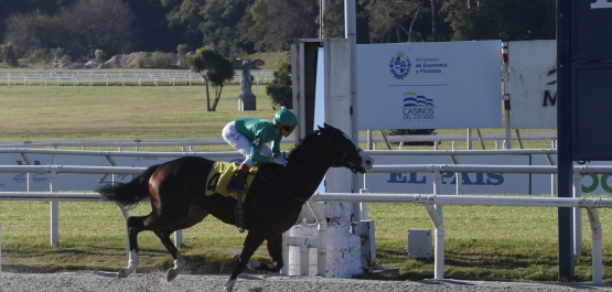 HANDICAP ESPECIAL STUD CHARRÚA