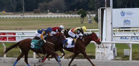 GRAN PREMIO CRITERIUM (POTRANCAS)