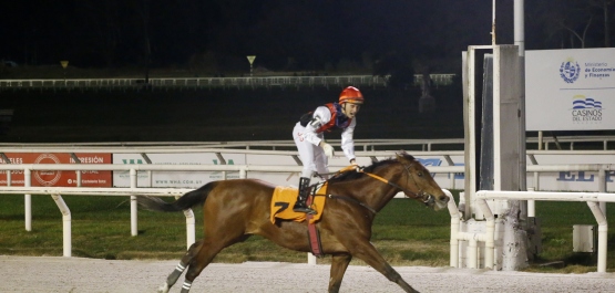 GRAN PREMIO GRAN CRITERIUM (POTRILLOS)