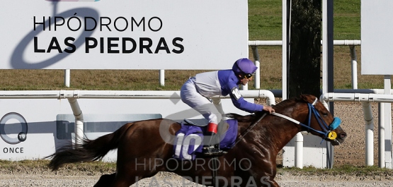 Sábado 30 de julio de 2022 - HLP