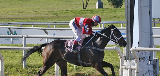 HANDICAP ESPECIAL BOINA ROJA