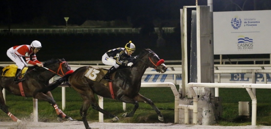 GRAN PREMIO POLLA DE POTRILLOS