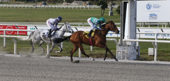 CLÁSICO STUD BOOK URUGUAYO