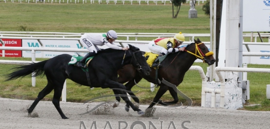 Viernes 21 de octubre de 2022 - Hipódromo Nacional de Maroñas