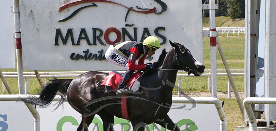 Domingo 23 de Octubre de 2022 - Hipódromo Nacional de Maroñas