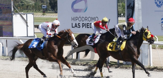 Miércoles 2 de noviembre de 2022 - Hipódromo Las Piedras