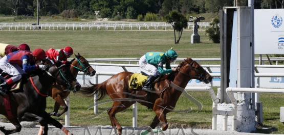 Domingo 6 de noviembre de 2022 - Hipódromo Nacional de Maroñas