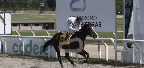 Viernes 11 de noviembre de 2022 - Hipódromo Las Piedras