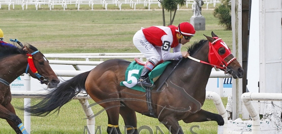 Sábado 12 de noviembre de 2022 - Hipódromo Nacional de Maroñas