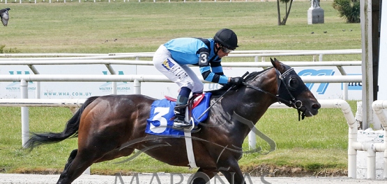 Domingo 13 de noviembre de 2022 - Hipódromo Nacional de Maroñas