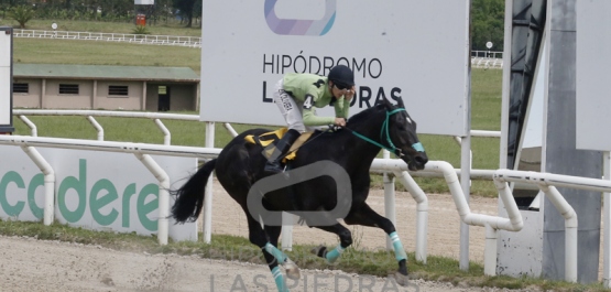 Viernes 18 de noviembre de 2022 - Hipódromo Las Piedras