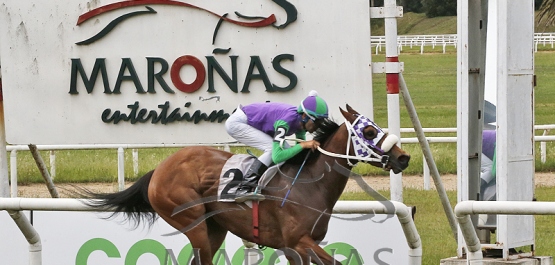 Sábado 19 de noviembre de 2022 - Hipódromo Nacional de Maroñas