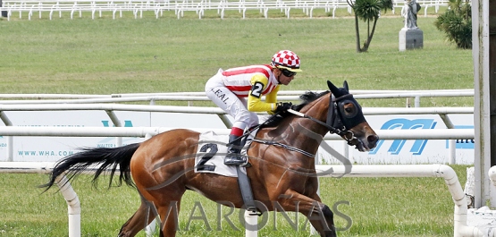 Domingo 19 de noviembre de 2022 - Hipódromo Nacional de Maroñas