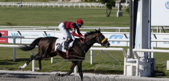 Viernes 2 de diciembre de 2022 - Hipódromo Nacional de Maroñas