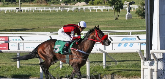 Sábado 10 de diciembre de 2022 - Hipódromo Nacional de Maroñas