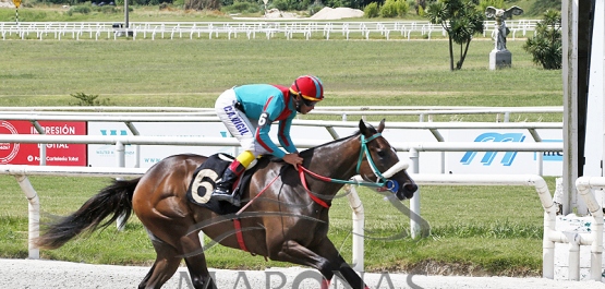 Domingo 12 de diciembre de 2022 - Hipódromo Nacional de Maroñas