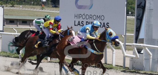 Jueves 22 de diciembre de 2022 - Hipódromo Las Piedras