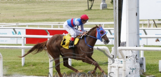 Viernes 23 de diciembre de 2022 - Hipódromo Nacional de Maroñas