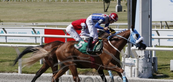 Viernes 30 de diciembre de 2022 - Hipódromo Nacional de Maroñas