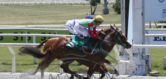 Viernes 6 de enero de 2023 - Hipódromo Nacional de Maroñas