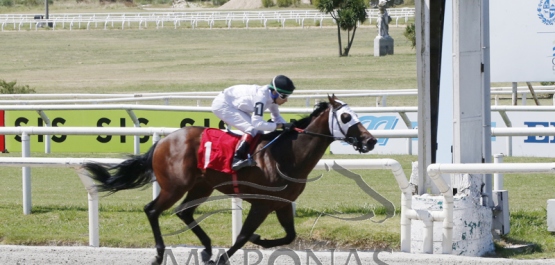 Domingo 8 de enero de 2023 - Hipódromo Nacional de Maroñas