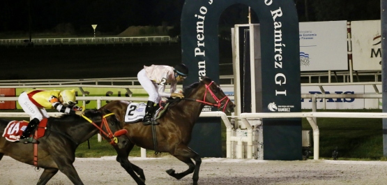 GRAN PREMIO JOSÉ PEDRO RAMÍREZ