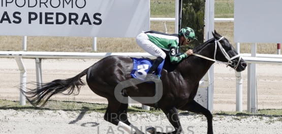 Sábado 14 de enero de 2023 - Hipódromo Las Piedras