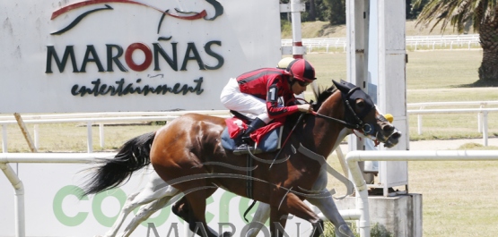 Domingo 15 de enero de 2023 - Hipódromo Nacional de Maroñas