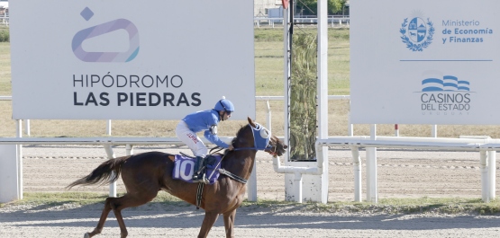 GRAN PREMIO POLLA DE POTRANCAS