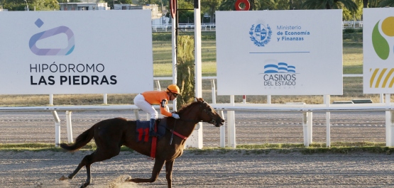 GRAN PREMIO POLLA DE POTRILLOS