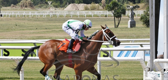 Sábado 28 de enero de 2023 - Hipódromo Nacional de Maroñas