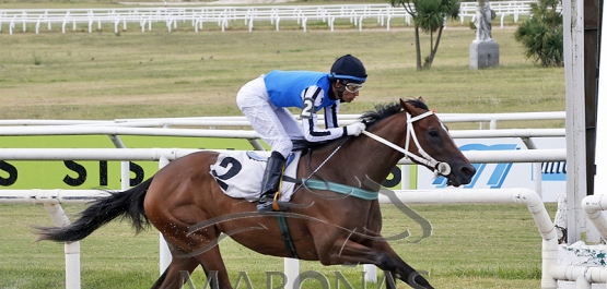 Sábado 4 de febrero de 2023 - Hipódromo Nacional de Maroñas