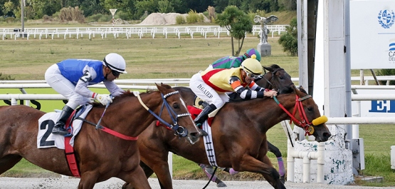 CLÁSICO LOS HARAS