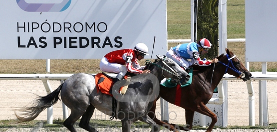 Sábado 11 de febrero de 2023 - Hipódromo Las Piedras