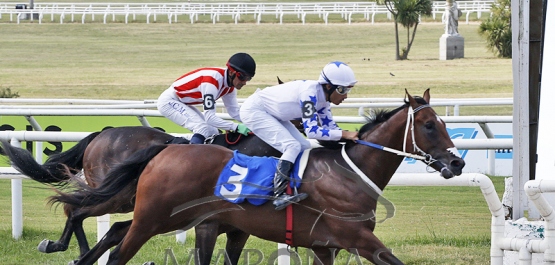 Domingo 12 de febrero de 2023 - Hipódromo Nacional de Maroñas