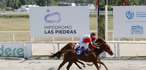 GRAN PREMIO SELECCIÓN