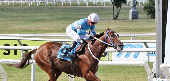 CLÁSICO FRANCISCO Y ALBERTO MILIA