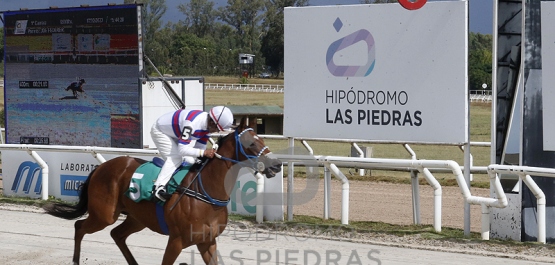 Viernes 17 de febrero de 2023 - Hipódromo Las Piedras