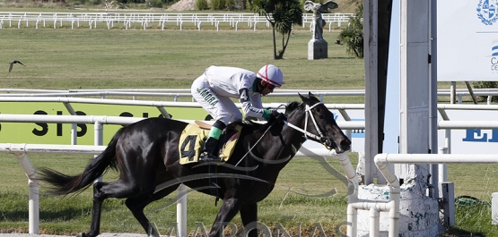 Sábado 18 de febrero de 2023 - Hipódromo Nacional de Maroñas