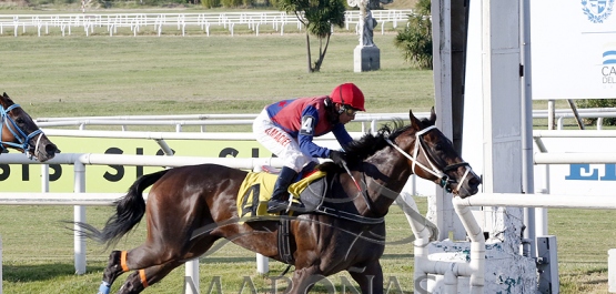 Sábado 25 de febrero de 2023 - Hipódromo Nacional de Maroñas