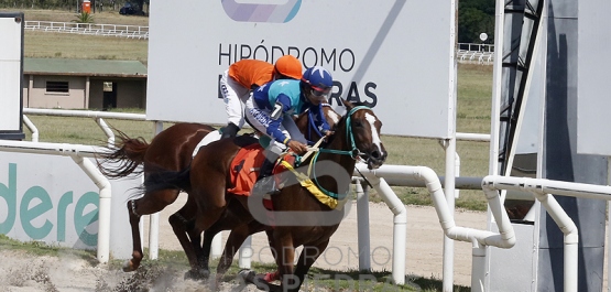 Viernes 3 de marzo de 2023 - Hipódromo Las Piedras