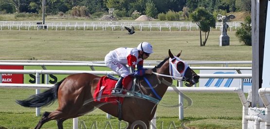 Sábado 4 de marzo de 2023 - Hipódromo Nacional de Maroñas