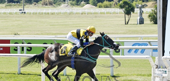 Domingo 5 de marzo de 2023 - Hipódromo Nacional de Maroñas