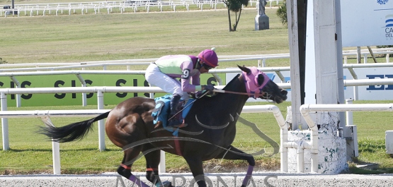 Domingo 12 de marzo de 2023 - Hipódromo Nacional de Maroñas