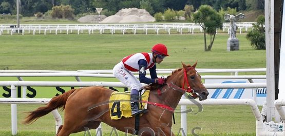 Domingo 19 de marzo de 2023 - Hipódromo Nacional de Maroñas