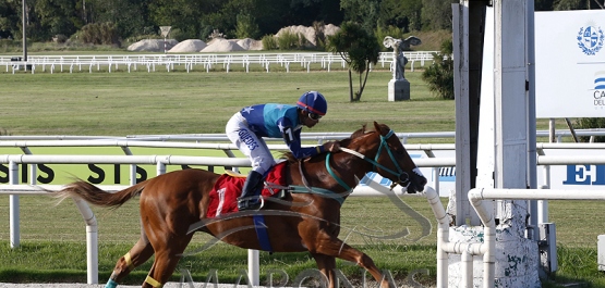 Viernes 24 de marzo de 2023 - Hipódromo Nacional de Maroñas