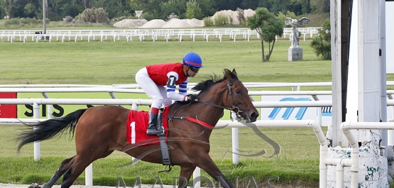 Domingo 26 de marzo de 2023 - Hipódromo Nacional de Maroñas